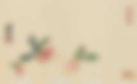 Radishes (preview)