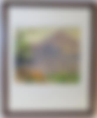 South Tyrolean vines in front of castle backdrop (preview)