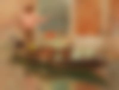 A vegetable seller in Venice (preview)