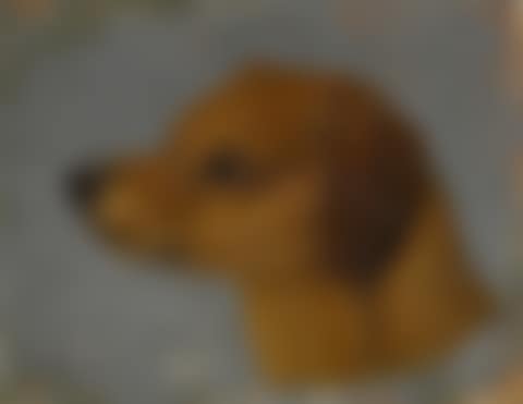 A SKETCH OF A HEAD OF A DOG (preview)