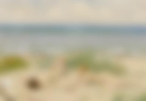 GIRLS ON THE BEACH, BÅSTAD  (preview)