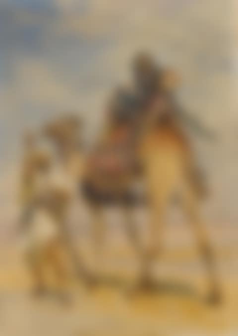 BEDOUIN WOMAN ON A CAMEL (preview)