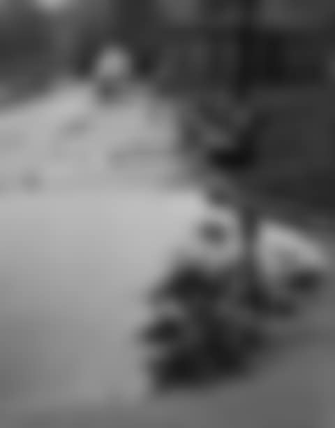 Homing Ship, Central Park, New York (preview)