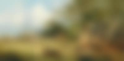Landscape from the Salzburg (preview)