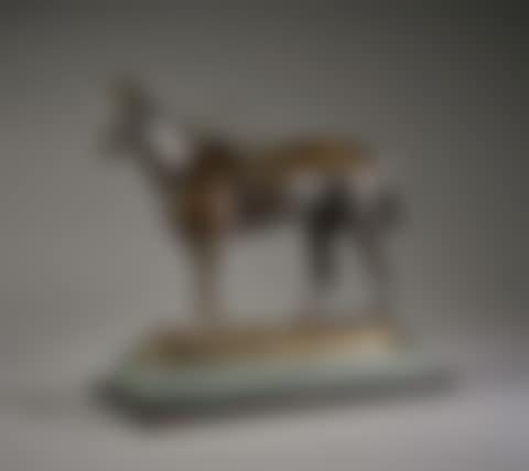 Girl of the Air (preview)