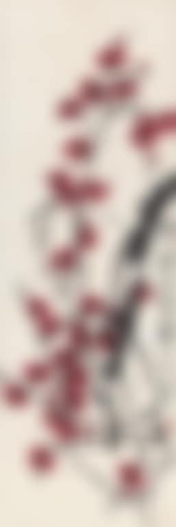 Plum (preview)