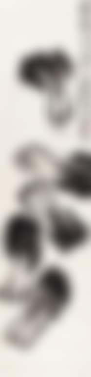 Chinese Cabbage (preview)