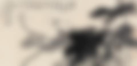 Lotus (preview)