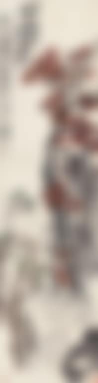 Plums (preview)