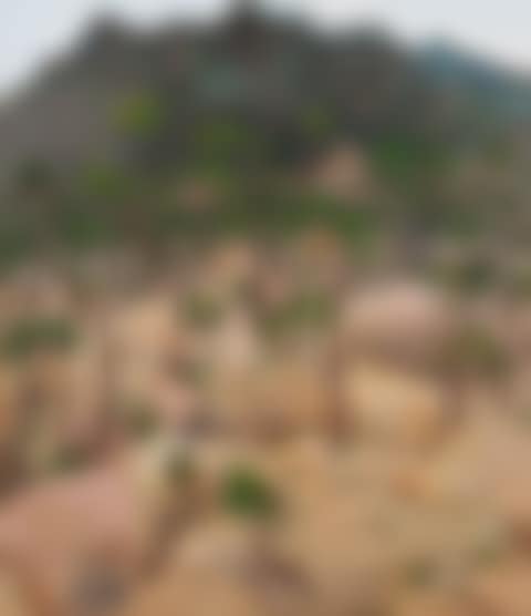 Pines And Rocks On The Lao Mountains (preview)