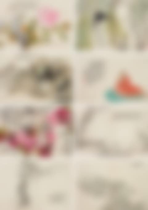 Flower And Bird (preview)