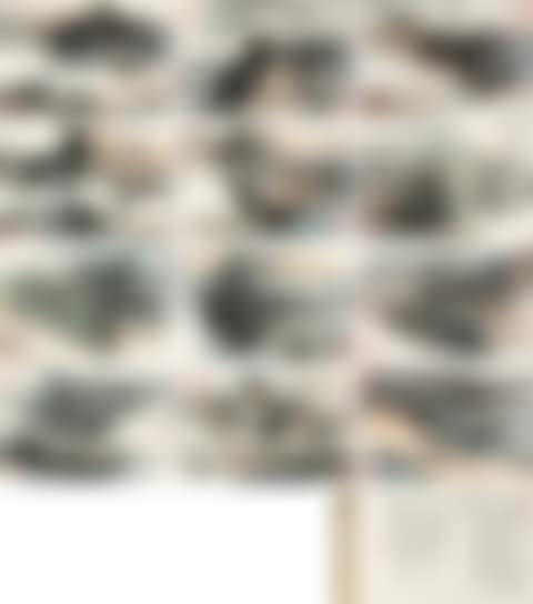 Landscape Inspired By Du Fu's Poem (preview)