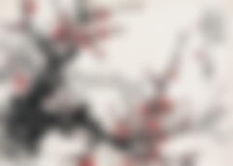 Primula (preview)