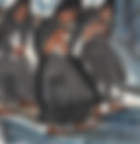 Figure (preview)