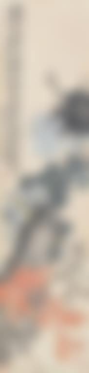 Kikuchi Figure (preview)
