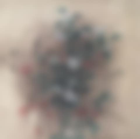 Haitang Camellia (preview)
