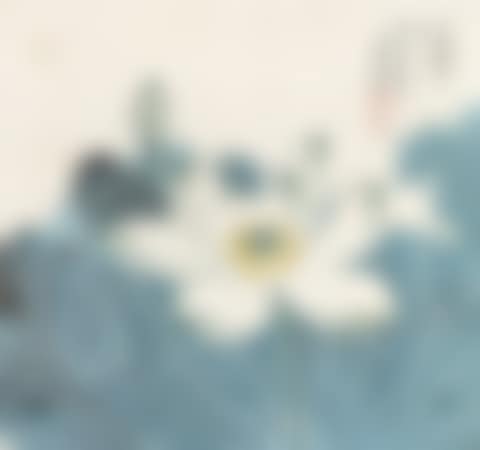 Lotus Pond (preview)