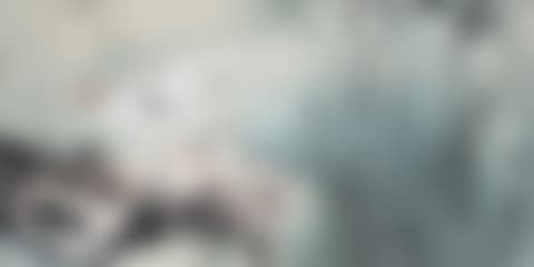 Way to Peace (preview)