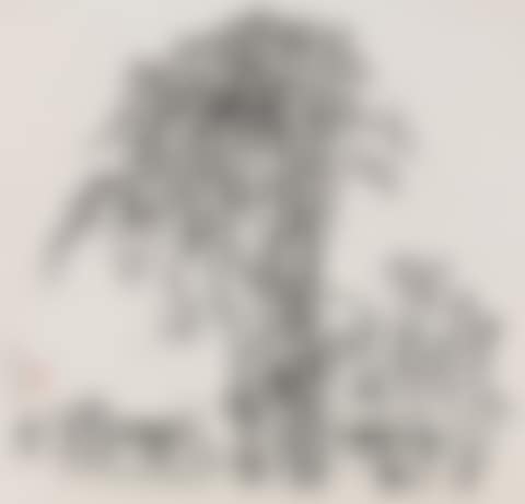 Pines Of Simao In Yunnan (preview)