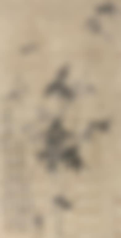 Mozhu (preview)