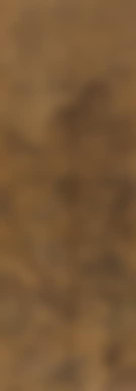 Akiyama Ancient Wooden Figure (preview)