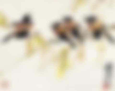 Alba (preview)