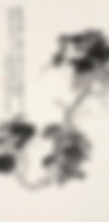 Grape (preview)