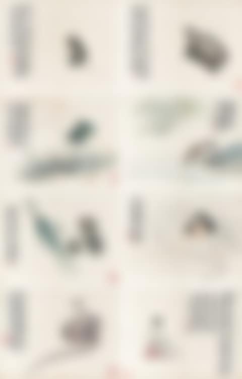 Miscellaneous Album (preview)