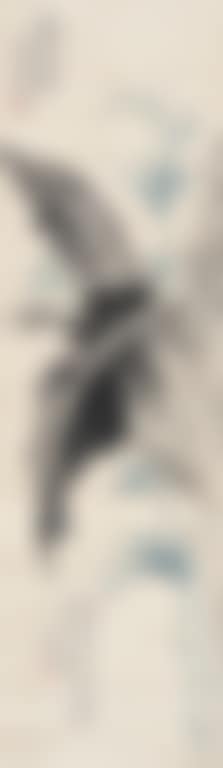 Bamboo (preview)