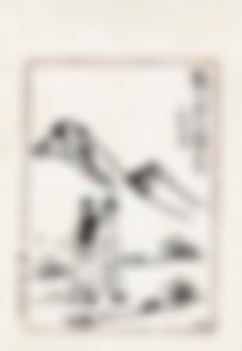Flower In Wild (preview)