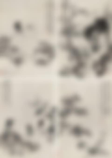 Flower And Bird (preview)