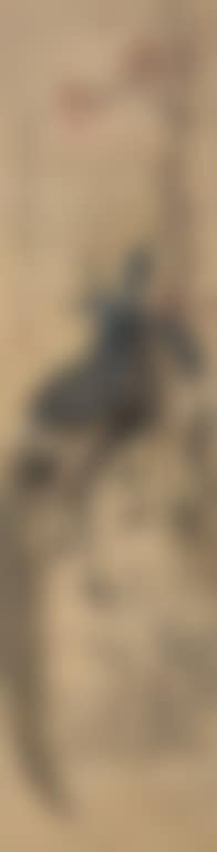 Sparrow Spirit (preview)