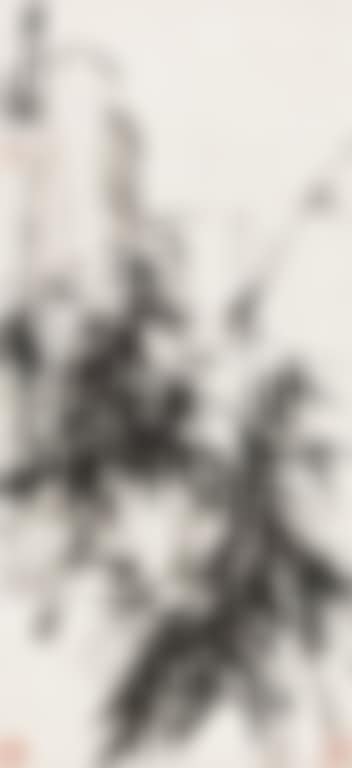 Bamboo (preview)