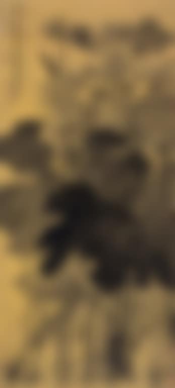 Lotus (preview)