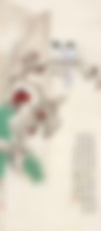 Flora And Birds (preview)