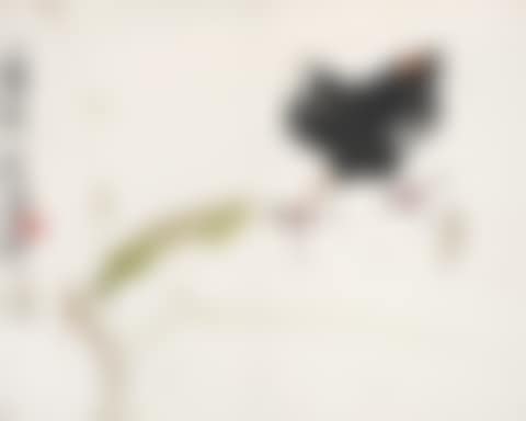 Bamboo Bird (preview)