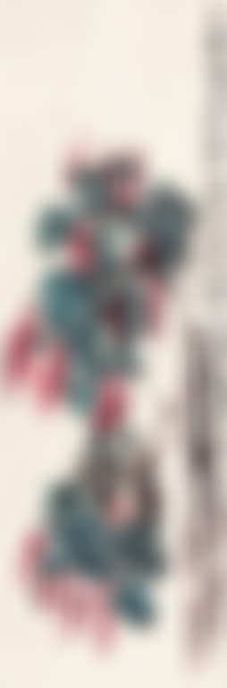 Flora (preview)