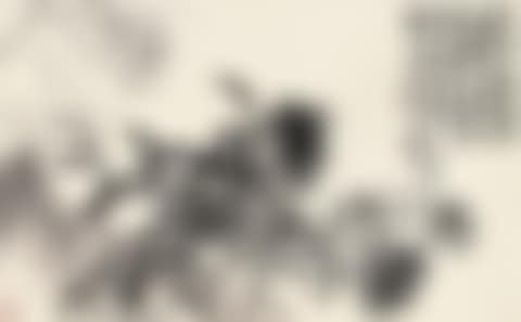 Reed Catkins (preview)