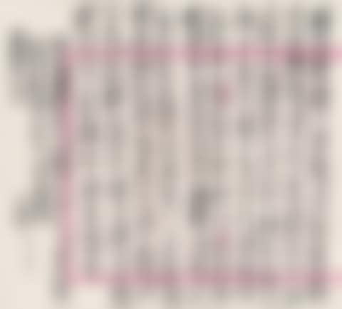 Essay (preview)