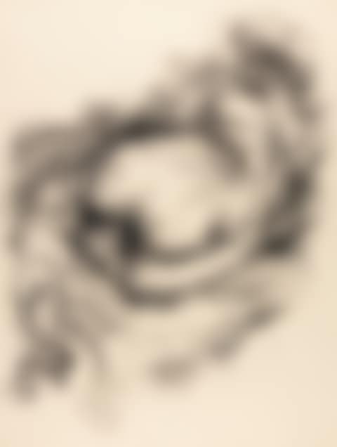 WEIBLICHER LIEGENDER AKT (POSING FEMALE NUDE) (preview)