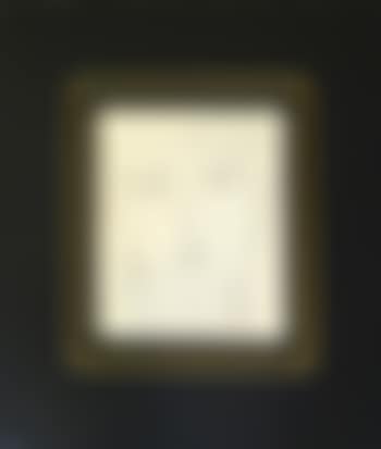 Portraits ,
1954 (preview)