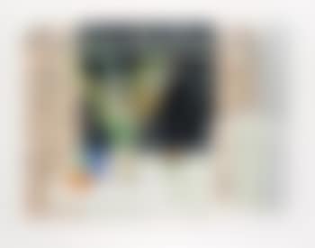 Evening Still Life ,
1986 (preview)