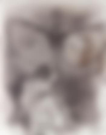 Antequam Exhires de Vulva Sactificavite ,
1969 (preview)