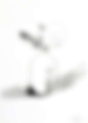 Untitled from Flowers (Black and White) ,
1974 (preview)