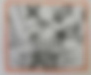 [Untitled] ,
1990 (preview)