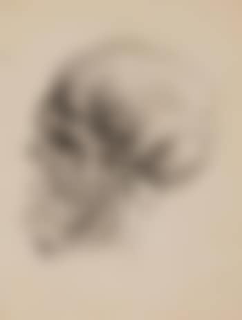 Skull in Profile ,
circa
1944 (preview)