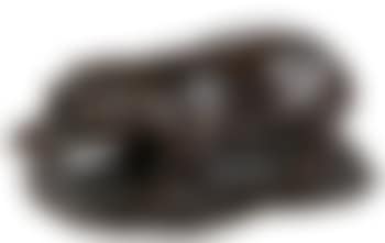 Nijlpaard , (preview)