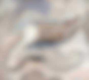 Untitled , (preview)
