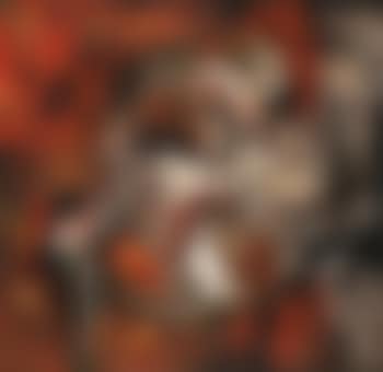 La coq d'or , (preview)