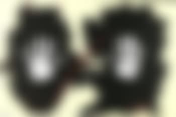 Manos ,
2001 (preview)